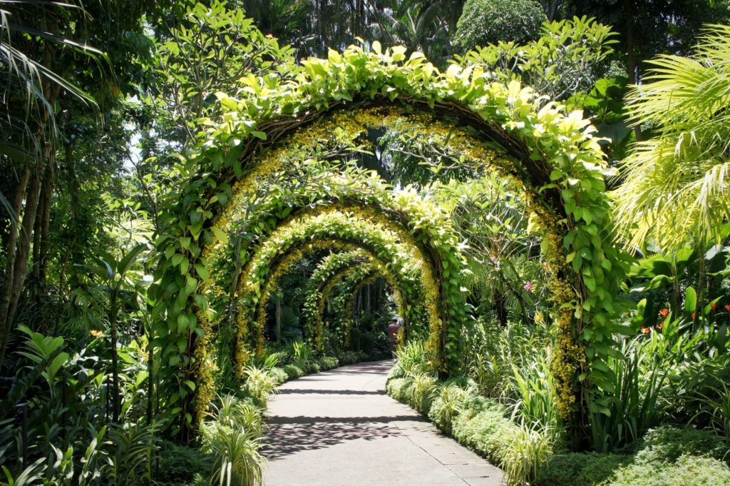 Jardin botanique Singapour