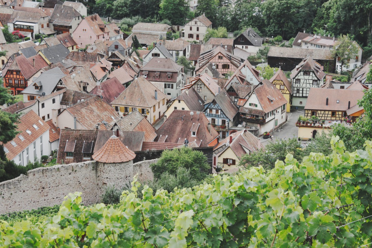 Le village de Ribeauvillé vu d'en haut